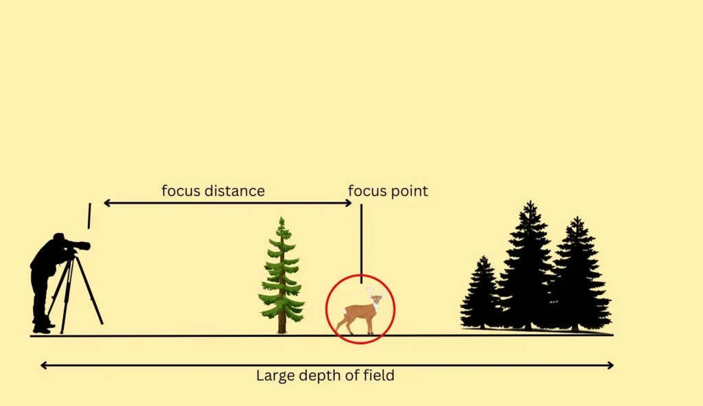 large depth of field